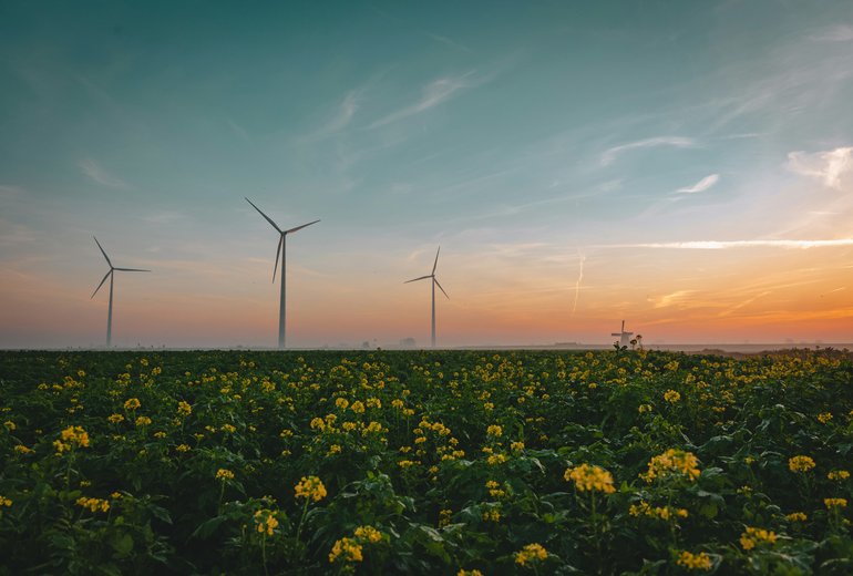Environmental Responsibility